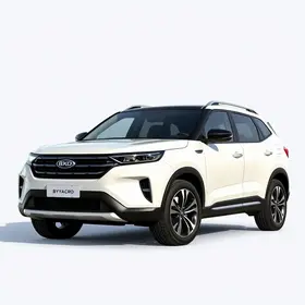 BYD SUV Camaçari