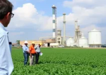 retomada da produção de fertilizantes