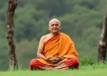 meditação