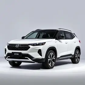 BYD Song Pro 2027 Flex