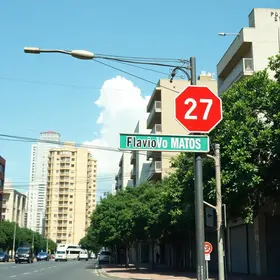 Flavio Matos 4544