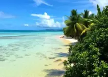 Ivoneide é orgulho para Camaçari, para a Bahia e para o Brasil