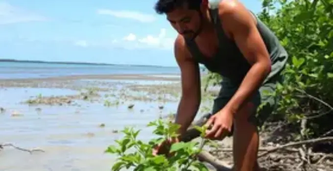 Guilherme Arantes e o projeto ambiental em Camaçari