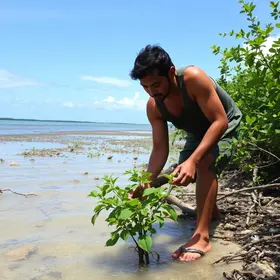 Guilherme Arantes e o projeto ambiental em Camaçari